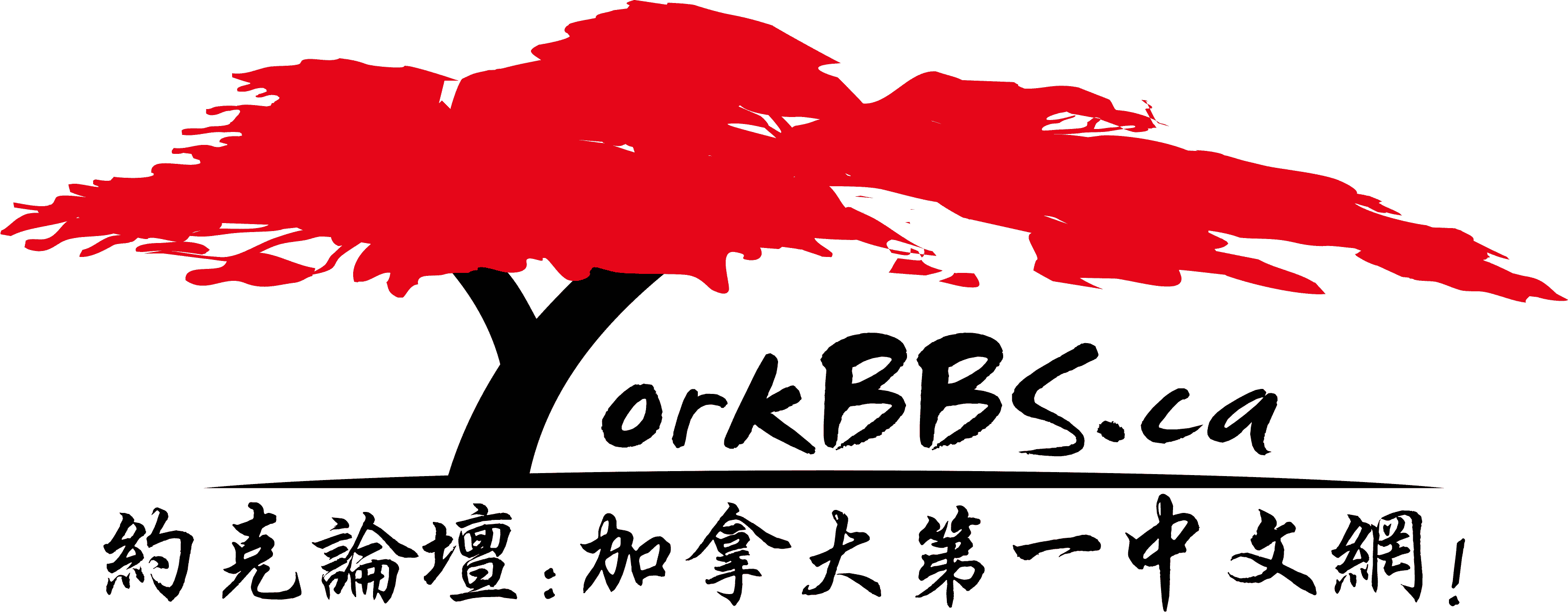 yorkbbs