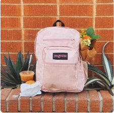 Jansport 复古双肩包 暮光女、鬼怪金高银都喜欢 低至$13 4.7折起+额外8折 潮流小腰包$9