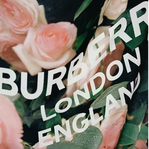 Burberry 今日不送巴宝莉，明天就在你肩膀哭泣 收晒货同款 4.1折起 $252收logo卡包