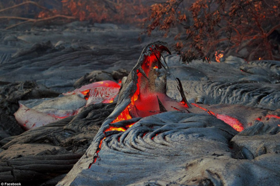 摄影师身处火山中拍熔岩烧毁树木瞬间