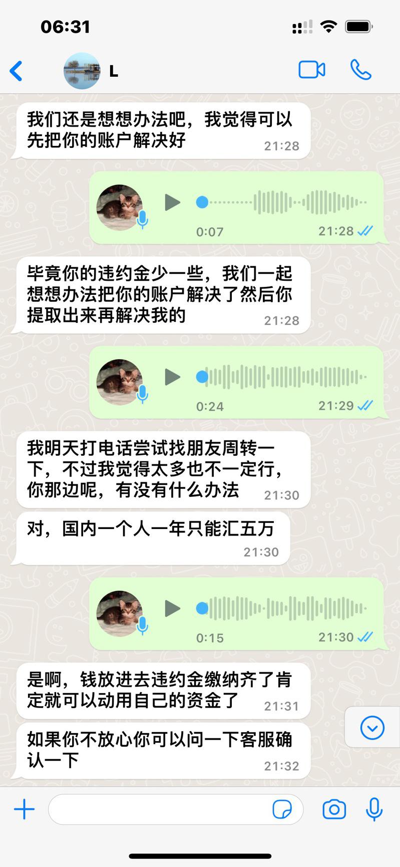 骗子假意帮助受害者解决她的帐号危机。(受害者提供)