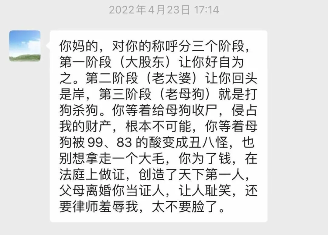 （马延圣辱骂胡琳等人的短信）