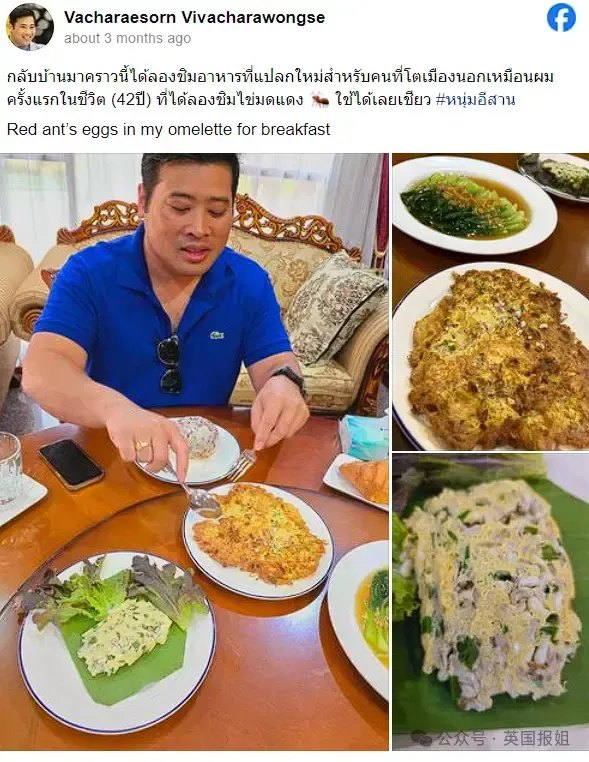 （尝试泰国传统食物红蚂蚁蛋卷）