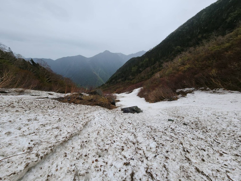 推主在北岳大桦沢捡到40年前的可乐。 X