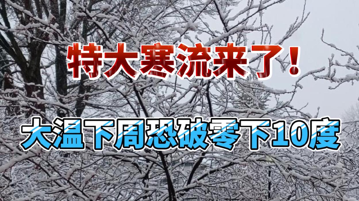 特大寒流来了！大温下周恐破零下10度!麻烦大了！大温巴士工会发罢工通知!华人高价商品低价买，很智慧但这是犯罪！