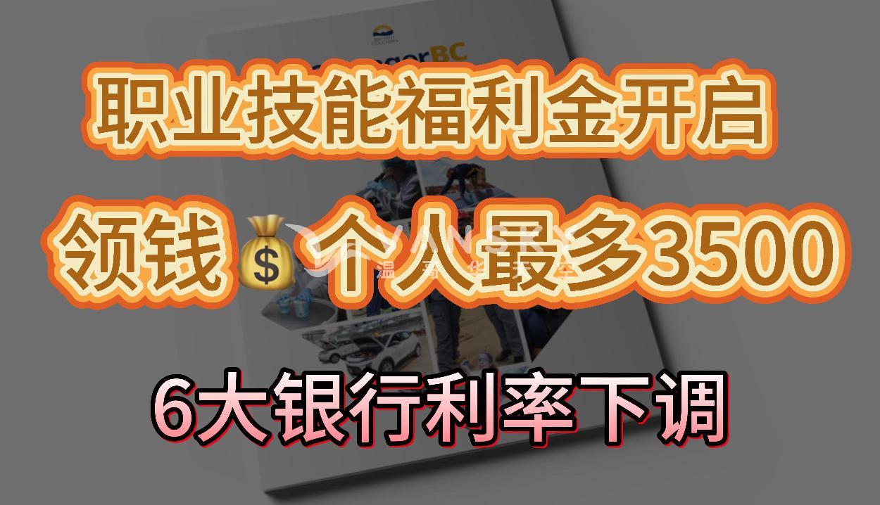 每人最多补助3500元！帮助卑诗省民改行未来技术；加拿大6大银行应声下调利率！大批房奴立省月供；公寓投资客每月亏钱！这批人负现金流最高 #职业技能补贴 #改行福利 #加国下调利率 #加国投资房产亏钱