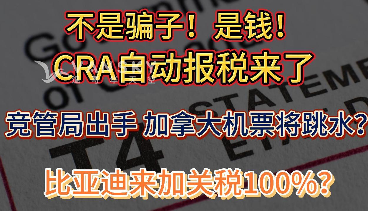 不是骗子，是送钱！CRA自动报税服务扩展，影响超50万人；加拿大机票将跳水？竞争管理局出手；BYD进入加拿大市场关税100%？一台车卖多少钱？ #比亚迪入加国 #CRA自动报税 #加国机票 #新能源车