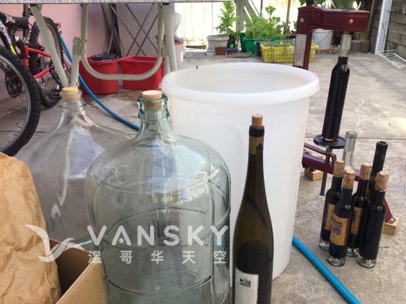 240803161051_wineMaking_1.jpg