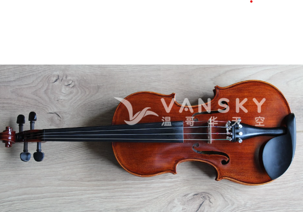 220912214003_violin.png