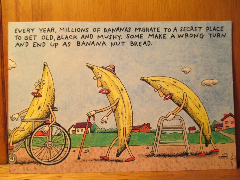 230310191923_bananamuseum.jpg