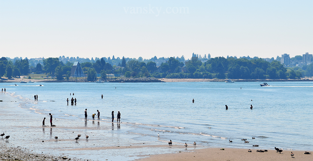 210628184850_English-Bay-swimmers-1.jpg