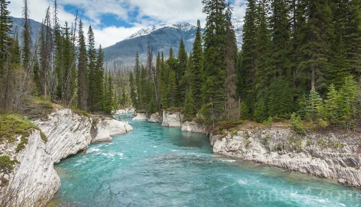 200105151417_03-721-Stream-Kootenay-National-Park-British-Columbia-Canada.jpg